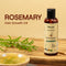 Scalpocare Rosemary Hair Regrowth Oil (100ml) FREE Neem Comb